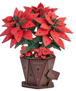 Poinsettia