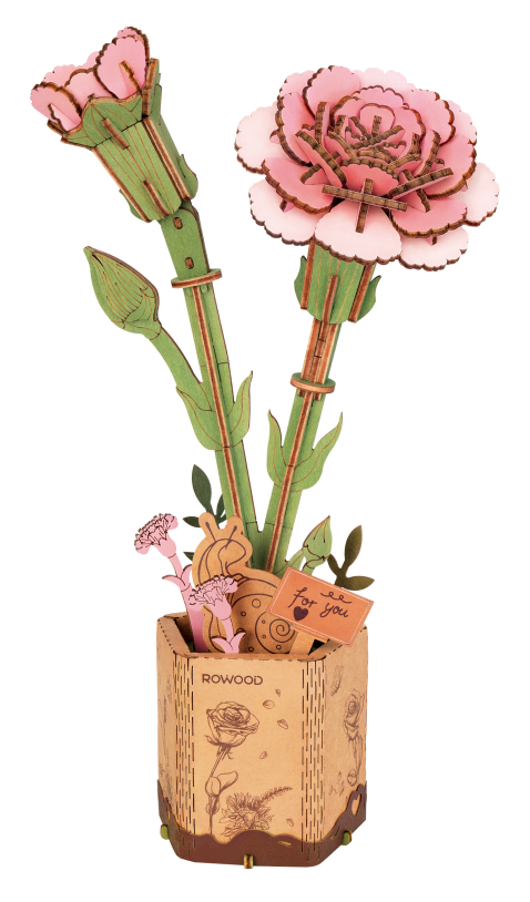 Pink Carnation